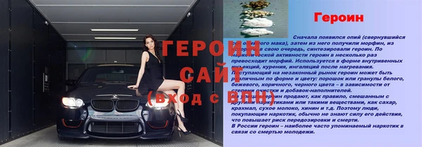 сатива Аркадак