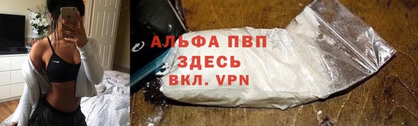 сатива Аркадак