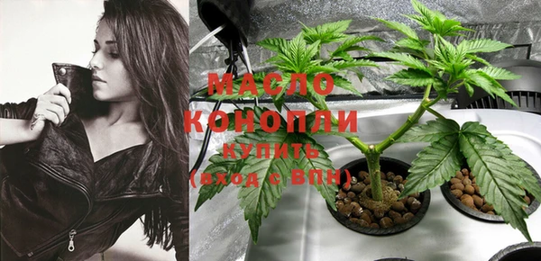 сатива Аркадак